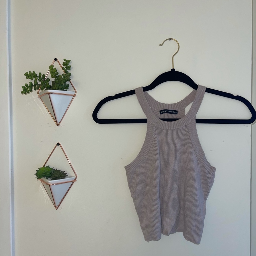 Brandy Melville Crop Top